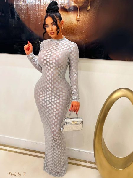 Fashionable Mesh Plaid Dress For Women