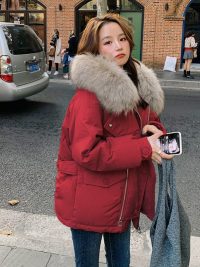 Korean Style Ins Trendy Small Cotton-padded Jacket Chic Cotton-padded Jacket