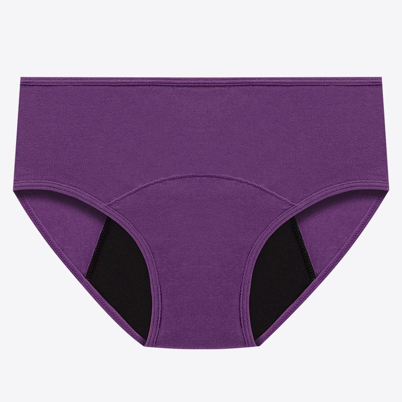 European And American Large Size Ladies' Underwear Menstrual Panties