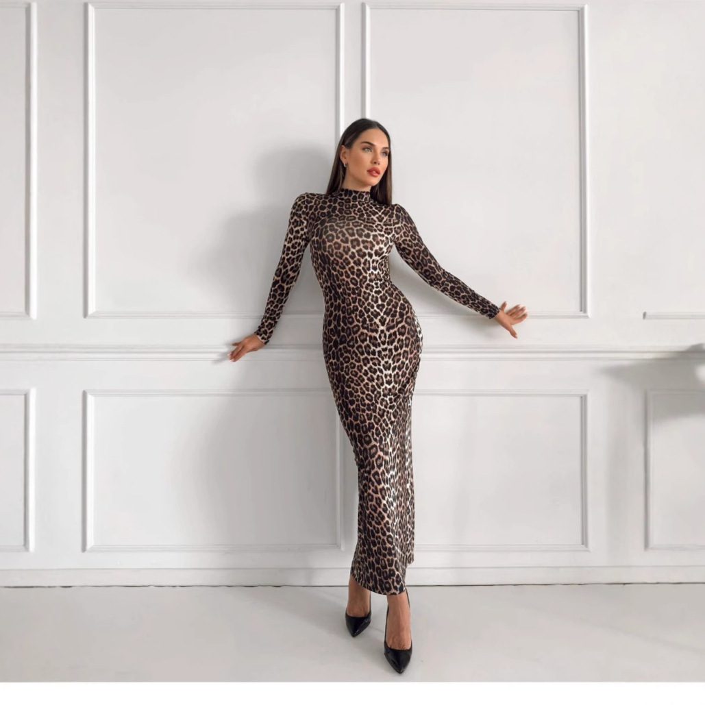 Fashion Leopard Print Stand Collar Long Sleeve Long Dress