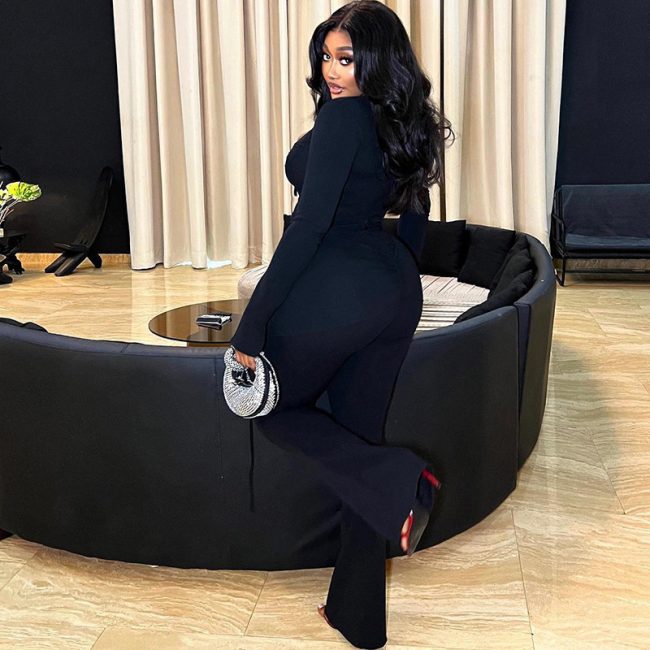 Women's Solid Color Casual Mesh Stitching Long Sleeves Top And Trousers Suit