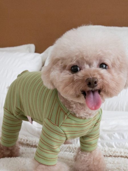 Pet Dog Four Feet Home Clothing