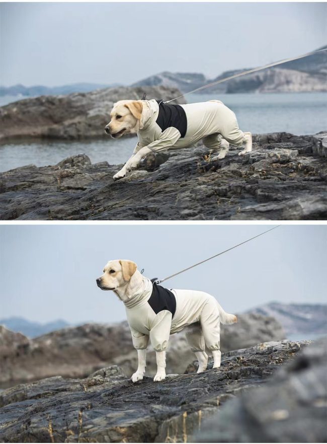 Shell Jacket Four-leg All-inclusive Dog Clothes Waterproof Windproof