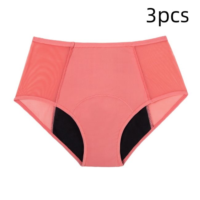 4-layer Absorption Menstrual Briefs Leak-proof Women's Menstrual Period Pants