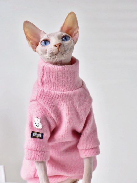 Thickened Warm Hairless Cat Coat In Winter