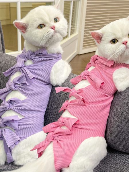 Lace-up Cat Sterilization Clothing Post-operation Polyester