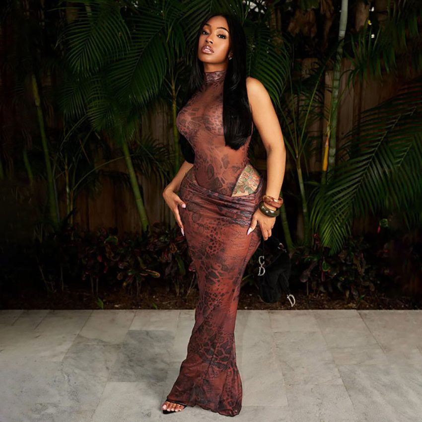 Fashion Women's Mesh Animal Print Long Dress Suit
