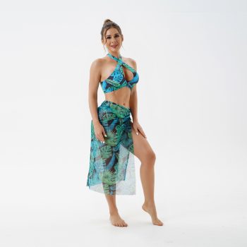 New Split Swimsuit Two-piece Women's Plus Size