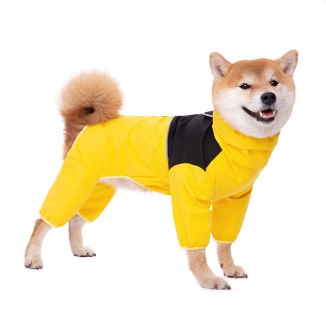 Shell Jacket Four-leg All-inclusive Dog Clothes Waterproof Windproof