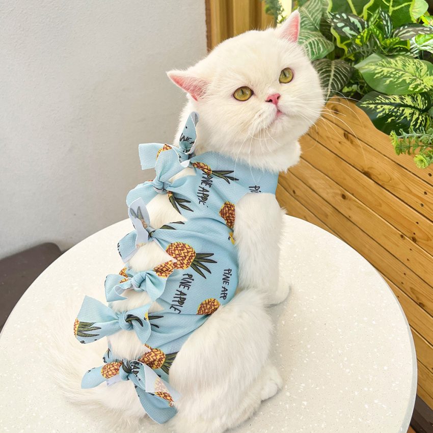 Lace-up Cat Sterilization Clothing Post-operation Polyester