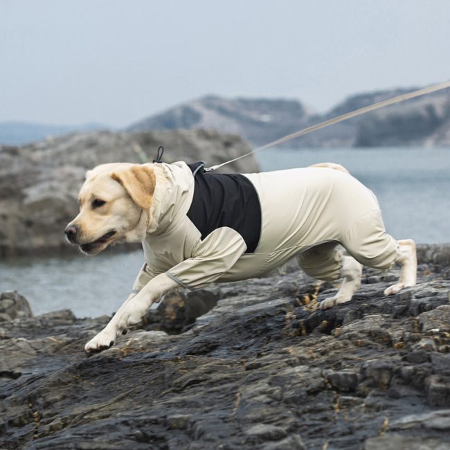Shell Jacket Four-leg All-inclusive Dog Clothes Waterproof Windproof